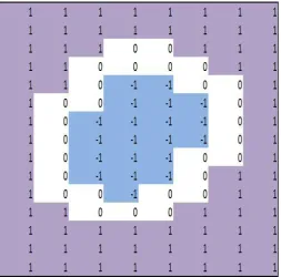 Fig 1: The Level Set Visualization 