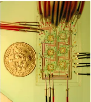 Figure 3.2. Six microchemostats that operate in parallel on a single chip. Various inputs 