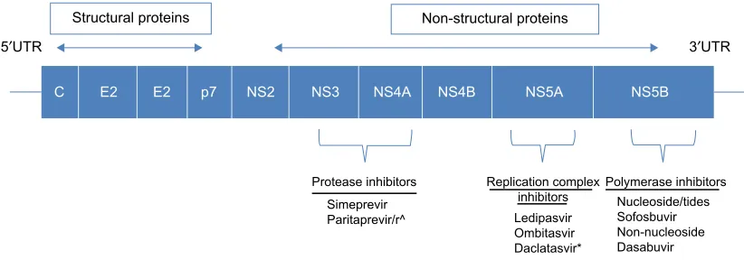 Figure 1 Hepatitis C protein sequence with currently approved pharmacologic agents.Notes: ^Paritaprevir is boosted with CYP3A inhibitor, ritonavir