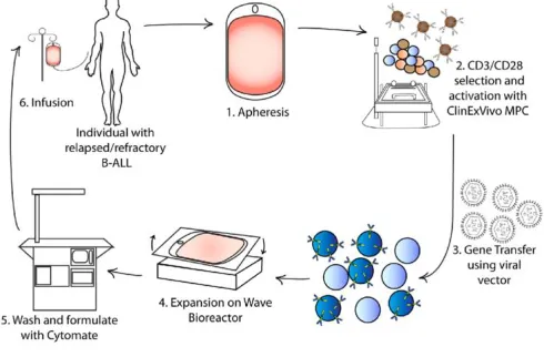 Figure 1. Production of CAR T cells in a GMP facility. Blood is taken from the patient (1) and is followed by T cell selection (2), and selection and activation of T cells (Davila, Bouhassira, et al., 2014)