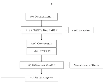 Figure 1.2: Basic building blocks of a viscous vortex method implementation.