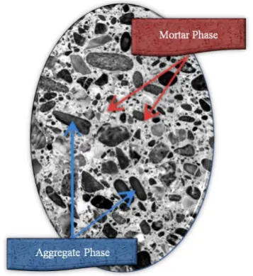 Figure 1: Normal cement composite showing a  heterogeneous mesostructure  