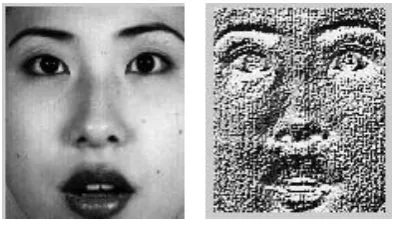 Fig. 3 a) Original Image    Fig. 3 b) LBP Coded Image 