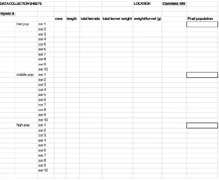 Figure 2 – Example of Data Collection sheets used for each hybrid at each location 