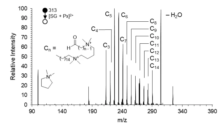 Figure 3.5. The collision-induced dissociation spectrum of m/z 313, the [SG + Px]2+ product