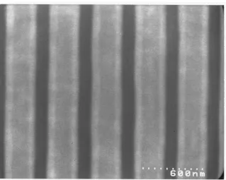 Figure 4.9: Channels etched in Mylar ⃝rusing O2 and Ar as the gas sources.