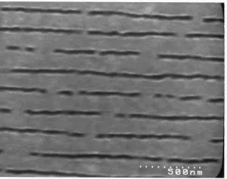 Figure 4.11: Channels etched in Kapton ⃝r using RIE with O2 and Ar as the gas sources.