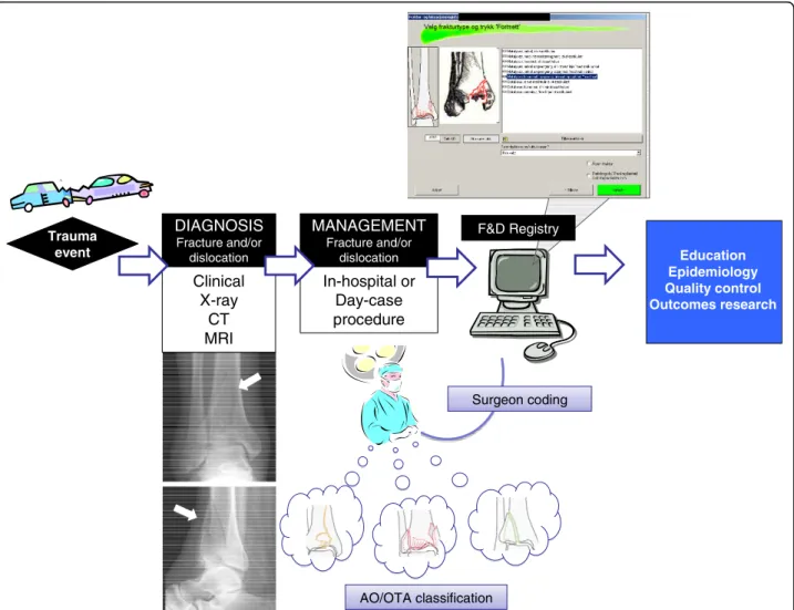 Figure 1 Flow chart of Registry use. Flow chart of the use of the FDR in the orthopaedic department.