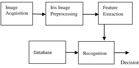 Figure 1.Typical Iris Recognition system  A typical iris recognition system is schematically shown in 