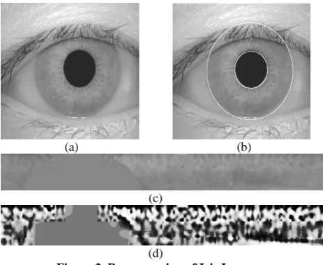 Figure 2. Preprocessing of Iris Image (d) (a) Original Iris Image (b) Image after Iris Localization 