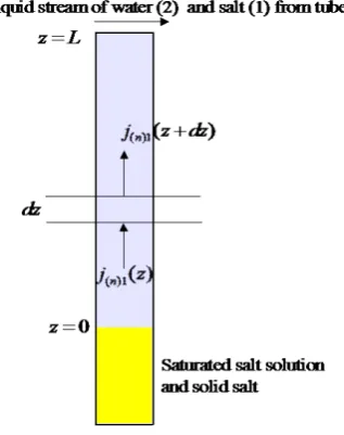 Figure 1. Fick’s diffusion experiment in a cy-lindrical tube with a salt reservoir at the bot-tom and flowing fresh water at the top