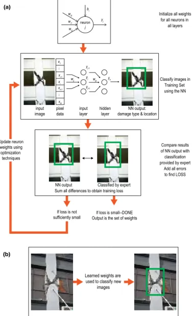 Fig. 1. Basic workflow for a DL algorithm designed to identify damage  in images of structures: (a) in the training step, the algorithm sets  internal parameters (weights) based on images tagged by an expert  as showing damage or no damage; and (b) in the 