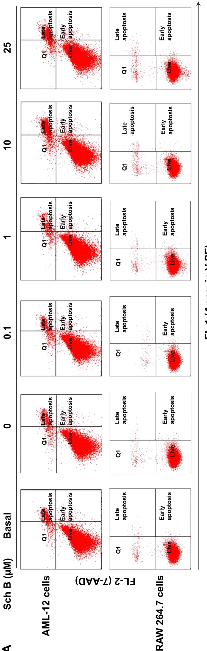 Figure 6A and B). The percentages of apoptotic cells were 