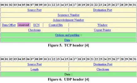 Figure 5.  TCP header [4] 