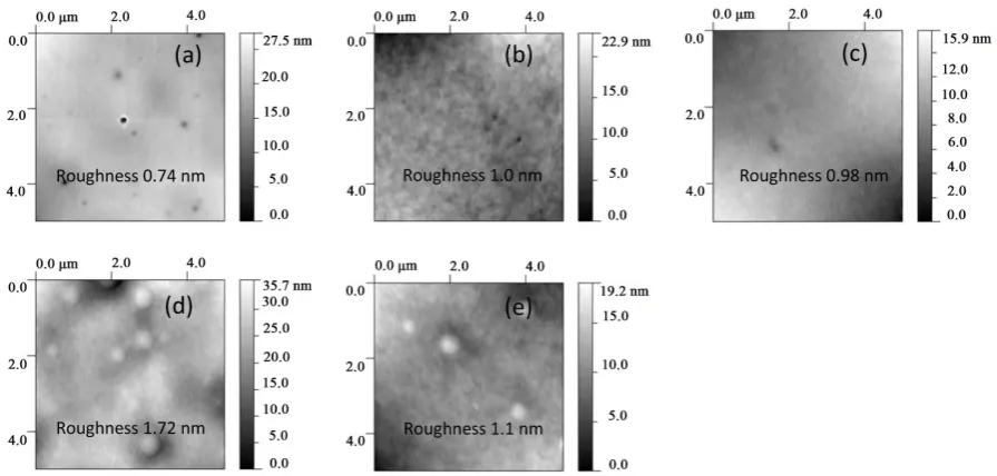 Figure 2. Tapping-mode atomic force microscopy 2-D images of (a) as deposited PLGA and Argon ion irradiated PLGA with doses (b) 1 × 1012 ions/cm2, (c) 1 × 1013 ions/cm2, (d) 1 × 1014 ions/cm2, and (e) 1 × 1015 ions/cm2
