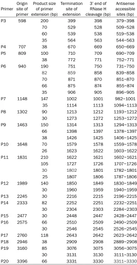 Table 1. Antisense accessible regions of hTERT shown by primer extension analysis