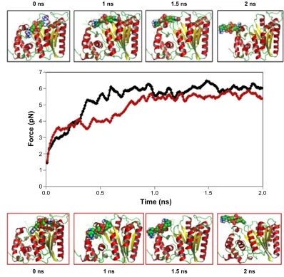 Figure 7 Force required to extract the ligands from the functional pocket along the unbinding pathway of protein-ligand complexes between 0 and 2 ns.Notes: Black graph lines and top panels: TtFrho-Zinc24934545; red graph lines and bottom panels: TtFrho-Zinc72319544.Abbreviation: TtFrho, transcription termination factor rho.