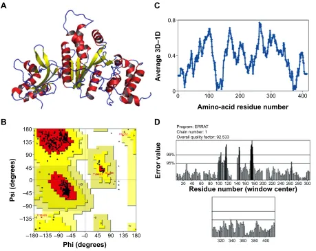Figure 1 stereochemical quality of optimized protein.Notes: (A) secondary structure of modeled protein (red: helices, yellow: sheets, blue: loops) from PyMOl
