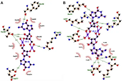 Table 3 Binding affinities and molecular interaction of the best lead molecules to target Brucella transcription termination factor rho protein was calculated from PyMOl software