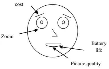 Figure 10: Chernoff face for digital camera 