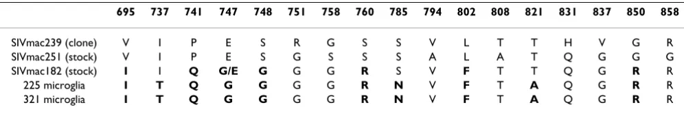 Table 6: Predicted amino acid residue at the indicated location in Nef. Bold indicates unique amino acids in clones 129 and 169.