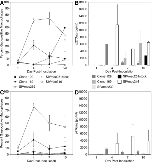 Figure 5Spread and production of five different isolates of SIV in primary macrophagesSpread and production of five different isolates of SIV in primary macrophages