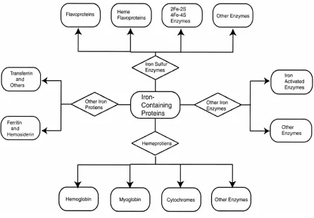 Figure 2.1.  Classification of major iron-containing proteins.  From Beard (2001). 