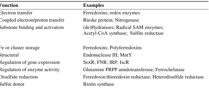Table 2.1.  Several functions of Fe-S clusters. From Johnson et al. (2006). 