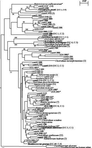 Figure 4. Phylogenetic tree showing clones detected in the eight libraries. The tree was constructed by the neighbor-joining method based on 16S rRNA gene sequence comparisons