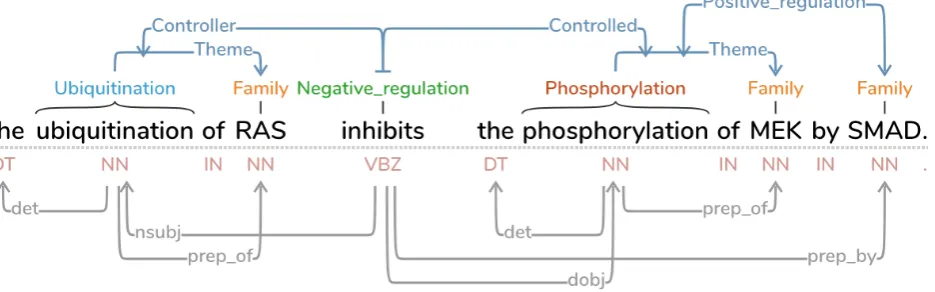 Figure 1: A screen capture of the annotation panel in the TAG software. Here a single sentence of biomedical text is shown, with bothsemantic (top) and syntactic (bottom) relationships toggled on.