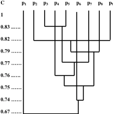 Fig 4: Resultant Graph1 of the page clusters 