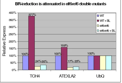 Fig S2-1: BL induction of TCH4 and ATEXLA2 expression in WT and elf6ref6 double mutants