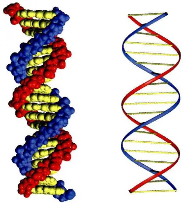 Figure 1.1 