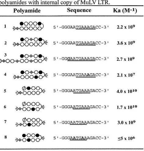Table 1. Equillibriwn association constants for polyamides with internal coPY ofMuLV LTR