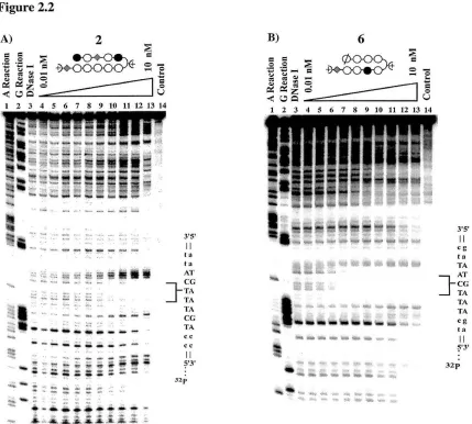Figure 2.2 B) 6 -