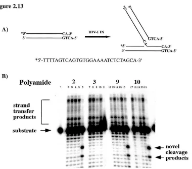 Figure 2.13 
