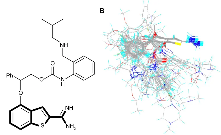Figure 1 a 2-amidinobenzothiophene ring with structural rigidity, comprising the common core of all molecules in the data set, was selected as the common substructure to align all of the molecules (A) Template used for molecular alignment of benzothiophene