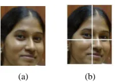 Figure 1 a) original image  b) image divided into N sub-blocks (N=4) 