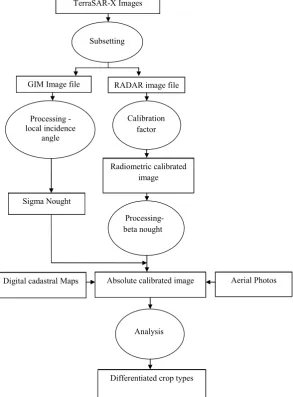 Figure 2. Pre-processing steps for the preparation of the TerraSAR-X images. 