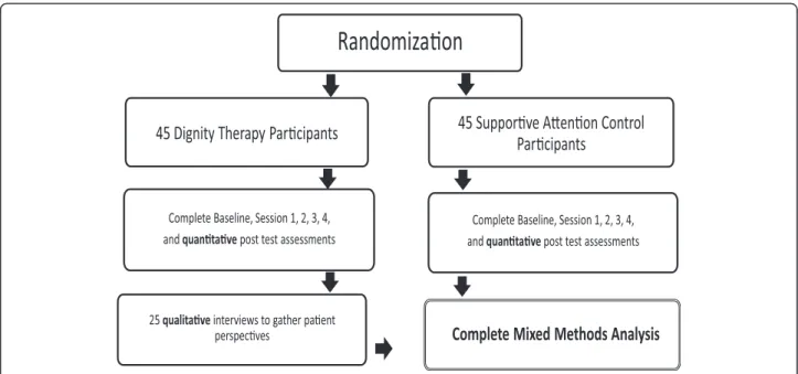 Fig. 1 Study flow-chart of the randomized controlled trial of Dignity Therapy focused on positive outcomes