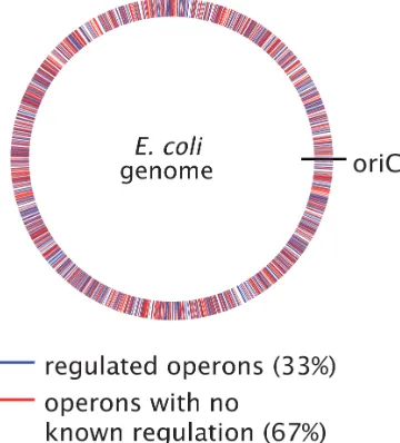 Figure 1.8: Identification of operons in(Gama-Castro et al., 2016), which are based on manually curated experimental andThe identification of regulated operons was performed using data from RegulonDB E