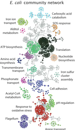 Figure 1.12: E. coli network map. The map represents an averaged inference frommultiple approaches that use genome-wide datasets as input into their models