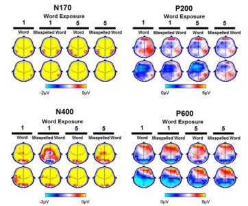 Figure 2. Topographic maps corresponding to the grand-averaged waveforms elicited by previous word-exposure conditions in High Spelling Skills (top rows), and Low Spelling Skills (bottom rows) groups are shown