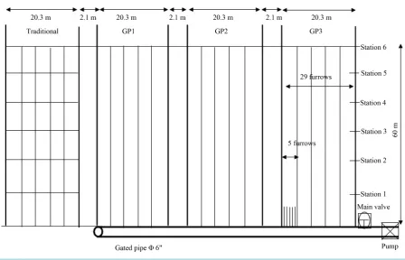Figure 1. Layout of experimental replicate.                                                                           