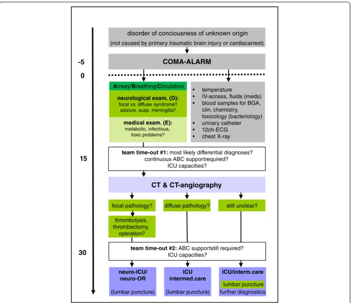 Fig. 1 New interdisciplinary and inter-professional SOP for coma management in our ED; shown in relation to the target time scale (left); grey areas mark tasks to be performed by nursing staff, green areas highlight the physicians ’ duties and responsibili