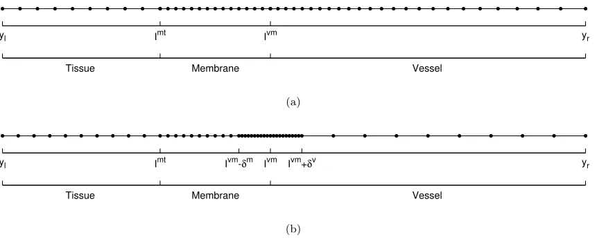Figure 3.3: Grids used by the Graded and Standard VMT solvers. Figure (a) depicts the expo-nentially graded mesh given by (3.2) withequispaced meshes given by (3.4) with G = −Dv/8M v and Figure (b) displays the multiple δm = Dv/M v, δv = Dv/M v.