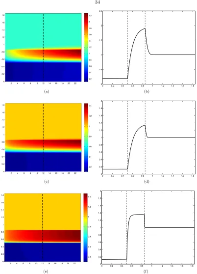 Figure 3.4: Solution of the steady state concentration Cthe sharp boundary layers to the right of the pointbeen resolved by the FC-VMT solver, and that would require use of extremely small time steps ifR(c), and (e) display the steady state solution over t