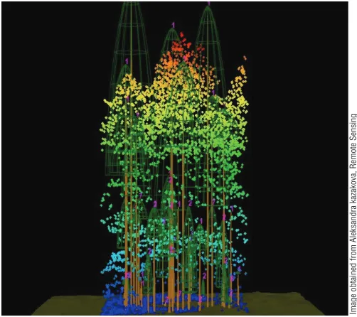 Figure 2-18. A tree canopy that has been surveyed using aerial LiDAR technology. 