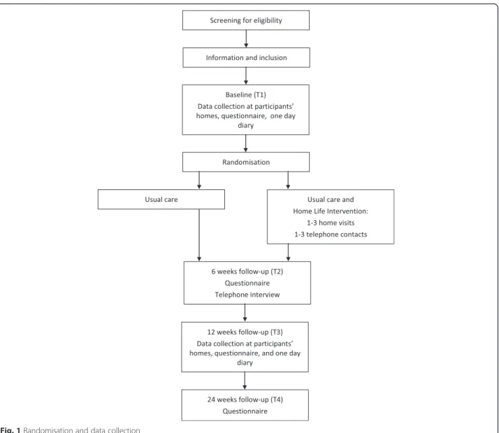 Fig. 1 Randomisation and data collection