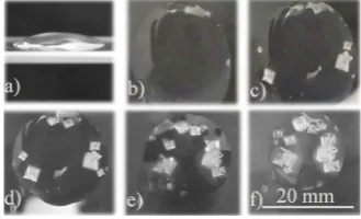 Figure 2. Single crystals ring formation on TLC: initial sessile drop; (a) Cross-section view; (b) Normal view; (c)-(f) Drop’s photo images during evaporation